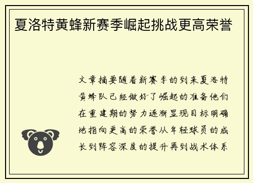夏洛特黄蜂新赛季崛起挑战更高荣誉